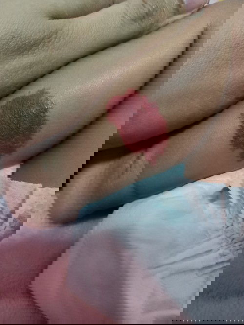 เรื่องของปาน