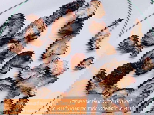 ผงอูมามิลูกน้อยจากธรรมชาติ