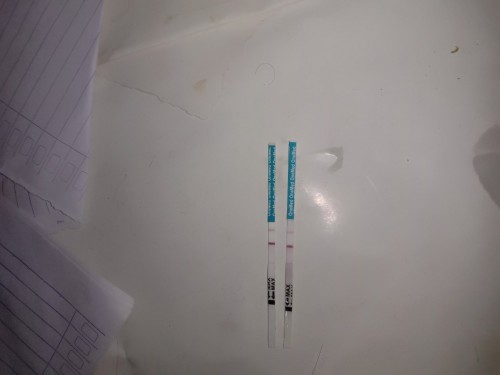Telat 5 hari bund 2x tesfek siang2...hasilnya positf apakahbenar hamil....terlihat jelas bund.......
