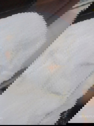 Bunda ini kenapa yah kok seperti ada flek warna pink di pempes anak saya, usia 6 bulan