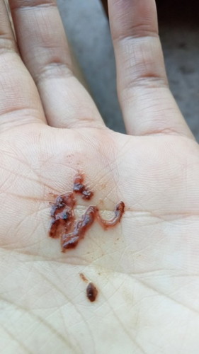 สงสัยค่ะ? อยากรู้ค่ะ