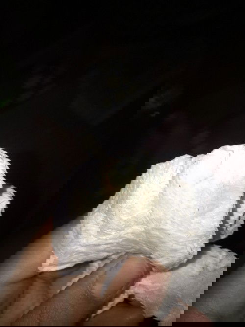 อายุครรภ์40วีคแล้วค่ะ มีมูกออกมาสีน้ำตาลอ่อนนิดๆใช่ มูกปากมดลูกเปิดหรือเปล่าค่ะ ท้องแรกค่ะ