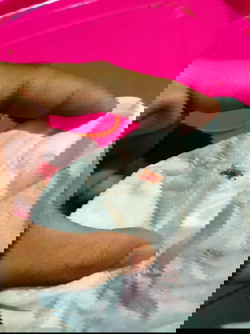 Keluar darah setelah berhubungan