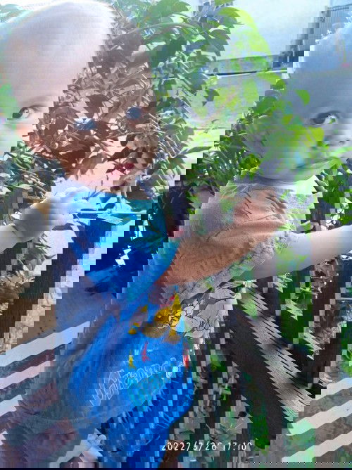 Cari Tips merangsang pertumbuhan gigi