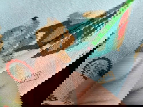 ขอคำแนะนำหน่อย