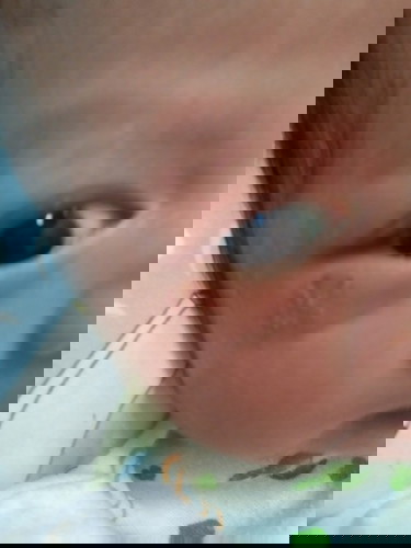 บ้านไหนเป็นบ้าง