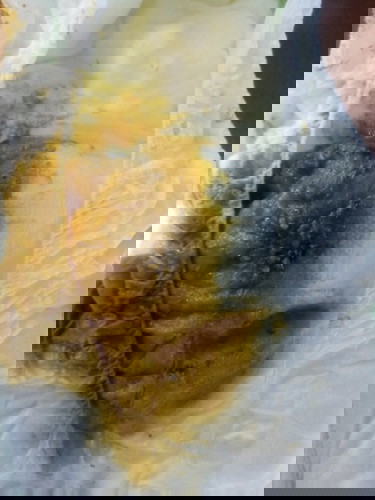 Asking lang po if normal ba sa baby ko na magtae ng medyo basa, 2 months old. Formula milk po siya