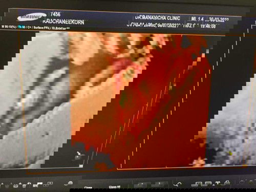 26+1 ทีม กรกฎาคมค่ะ ลูกเสือน้อย