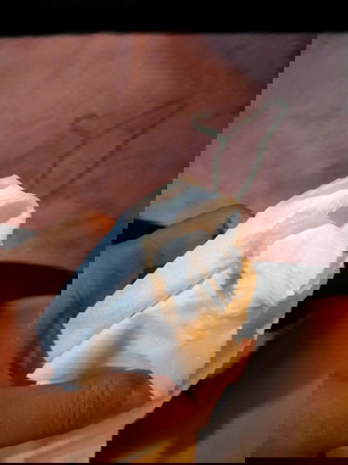 อยากปรึกษาแม่ๆค่ะ  กังวลใจมาก