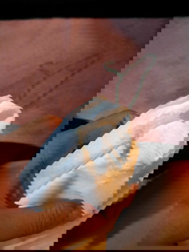 อยากปรึกษาแม่ๆค่ะ กังวลใจมาก