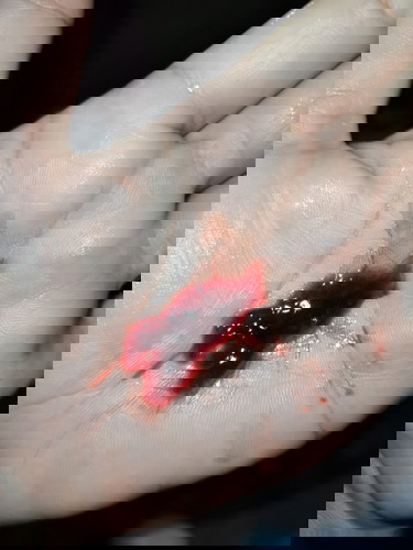 เดือนนี้แห้ว🥺