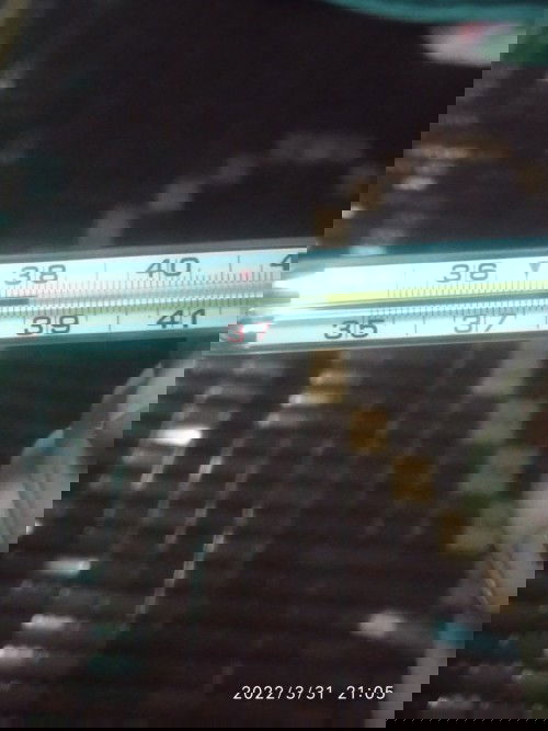 Những người mẹ không cô đơn