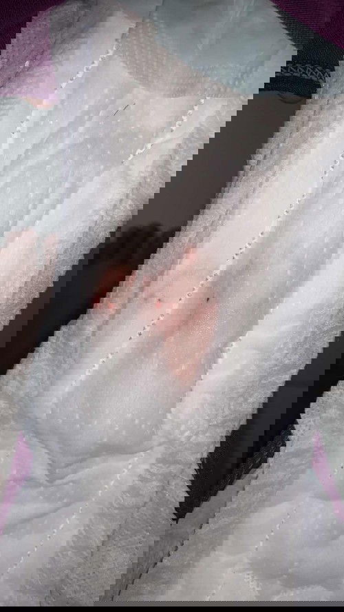 Maaf ya bunda,kalo jijik🙏🥺