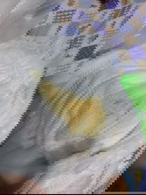 สอบถามค่ะแม่ๆ