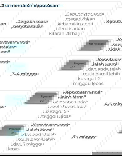 maksud indikator clearblue