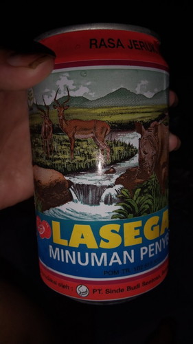 Pengen minum lasegar bun boleh gak bumil tm 2 ,tolong bntu jwb