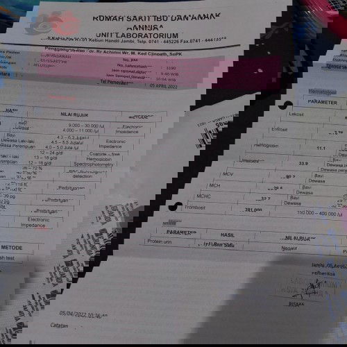 HASIL CEK LABOR SIANG TDI