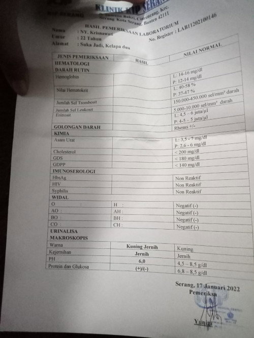 Hasil cek urine