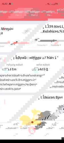 Hamil 17 Minggu kok blm kelihatan ya Bun...hamil pertama soalnya