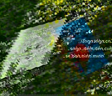 Mình phải sống như biển rộng sông dài