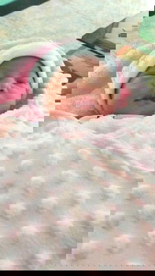 Alhamdulilah launching