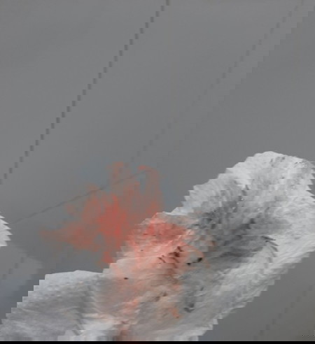 มีเลือดออกปกติมั้ยคะ