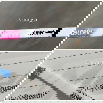 Seputar trimemester 1