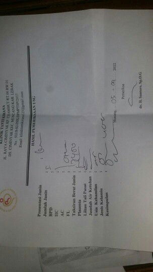 hasil usg apakah normal