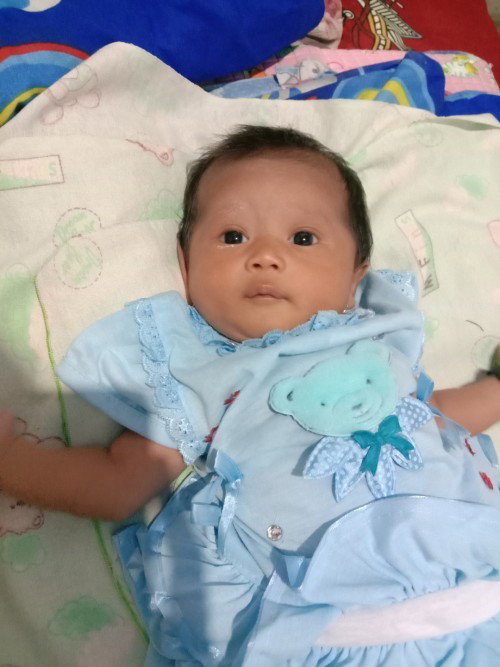 Cara naikin bb bayi