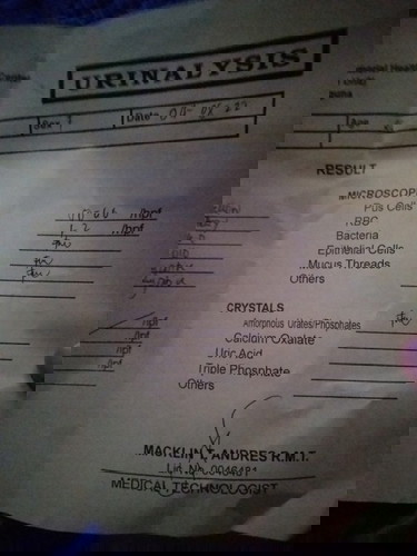 Home remedies for uti