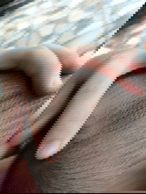 Tập đầu làm mẹ