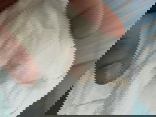 เราควรทำไงต่อไปดีคะ