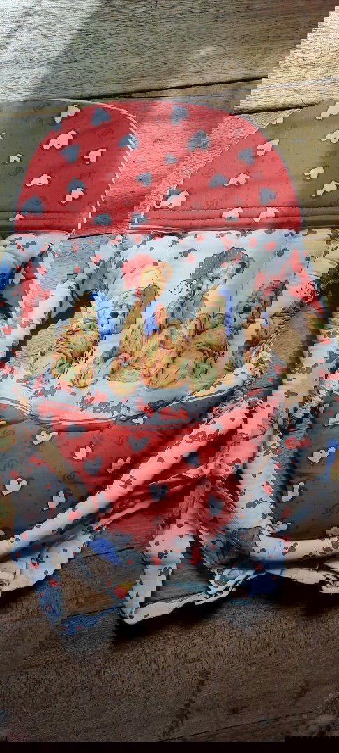 Gendongan bayi 2.5 bulan