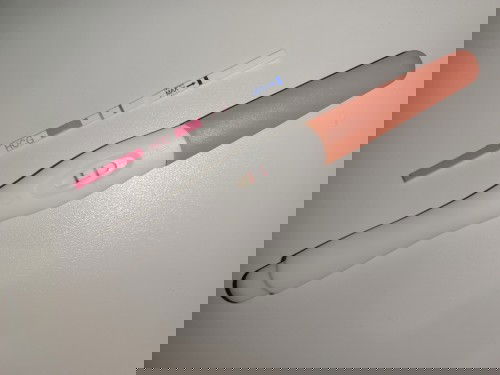 Kehamilan trisemester 1