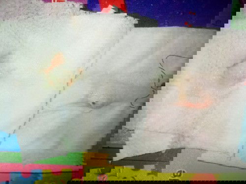 ขอคำแนะนำหน่อยค่ะ