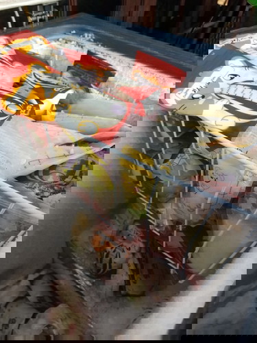 Donor ASI area Jakarta