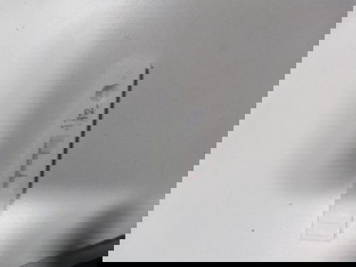 Pregnancy test result