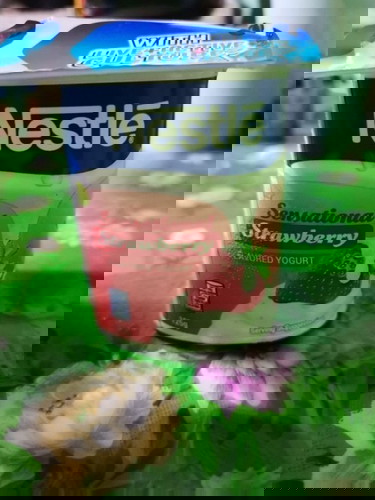 Nestle strawberry yogurt