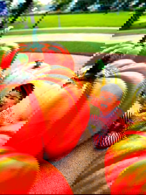 วันนี้เหนื่อยมากสายตัวแทบขาด!!! แต่ก็ยังขาดไม่ได้​ ลูกยังเล็ก🤣🤣🤣
2.8ขวบไม่นอนกลางวันแล้วจ้าแม๊!!!