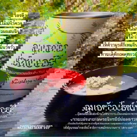 ใครเคยทานจมูกข้าวตัวนี้ไหม