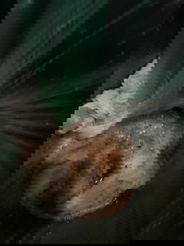 รบกวนแม่ๆช่วยหน่อยค่ะ