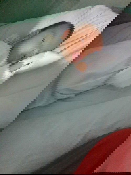 May sipon si 1 month old baby ko. Ano po dapat gawin?