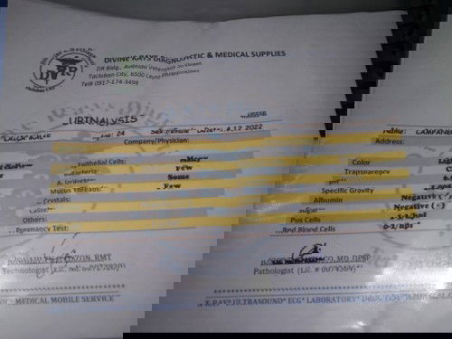 Result of my Urinalysis it is normal?