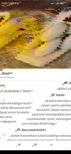 Nastar Nastar Nastar