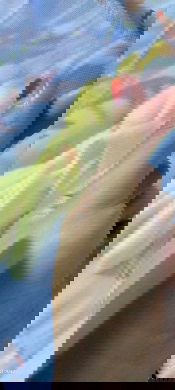 Akhirnya yang bikin worry launching juga 🥰🥰