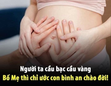 Em tập đầu và được 33 tuần