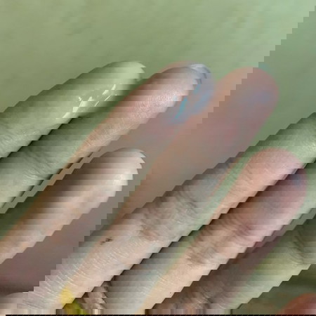 สอบถามหน่อยค่ะ