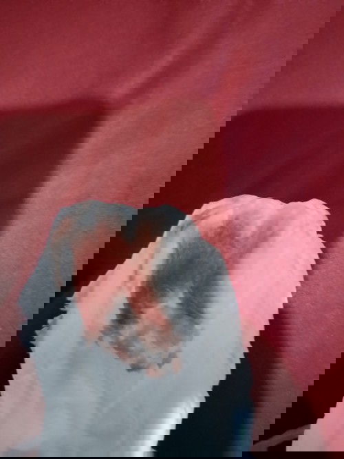 Keluar darah dari vagina sehabis BAB