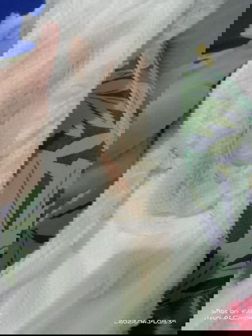 Panpers bayi ada warna kemerahan nya