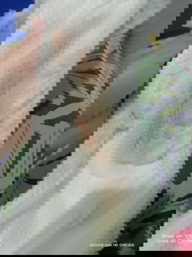 Panpers bayi ada warna kemerahan nya